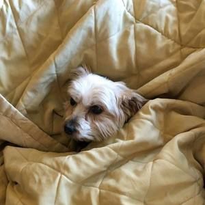 Meet your Posher, Sandra